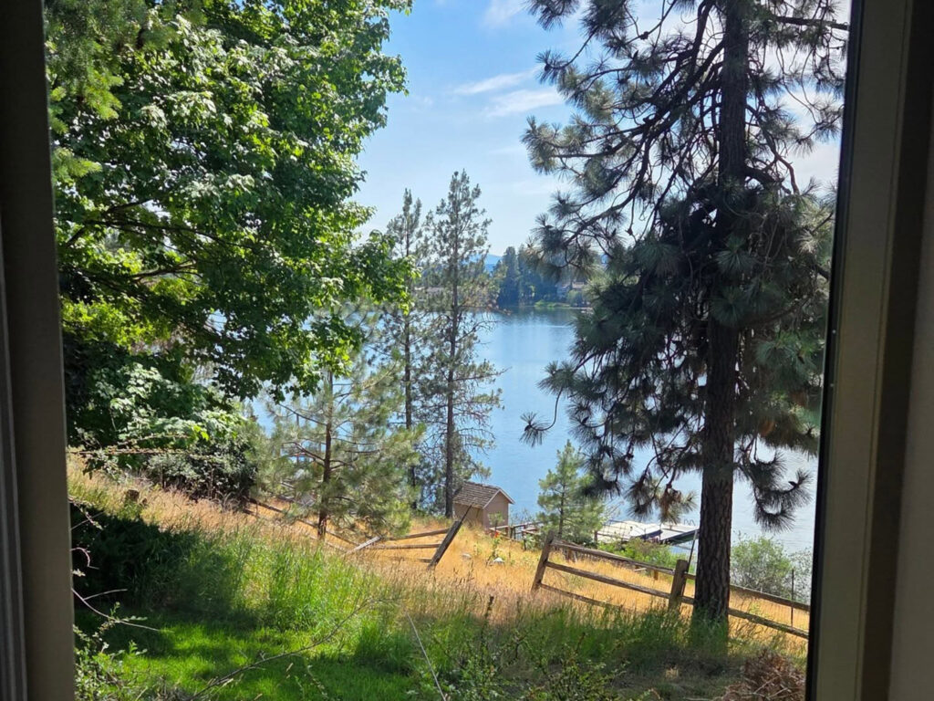 professional window washing technique using soap solution on residential windows near Dalton Gardens Idaho